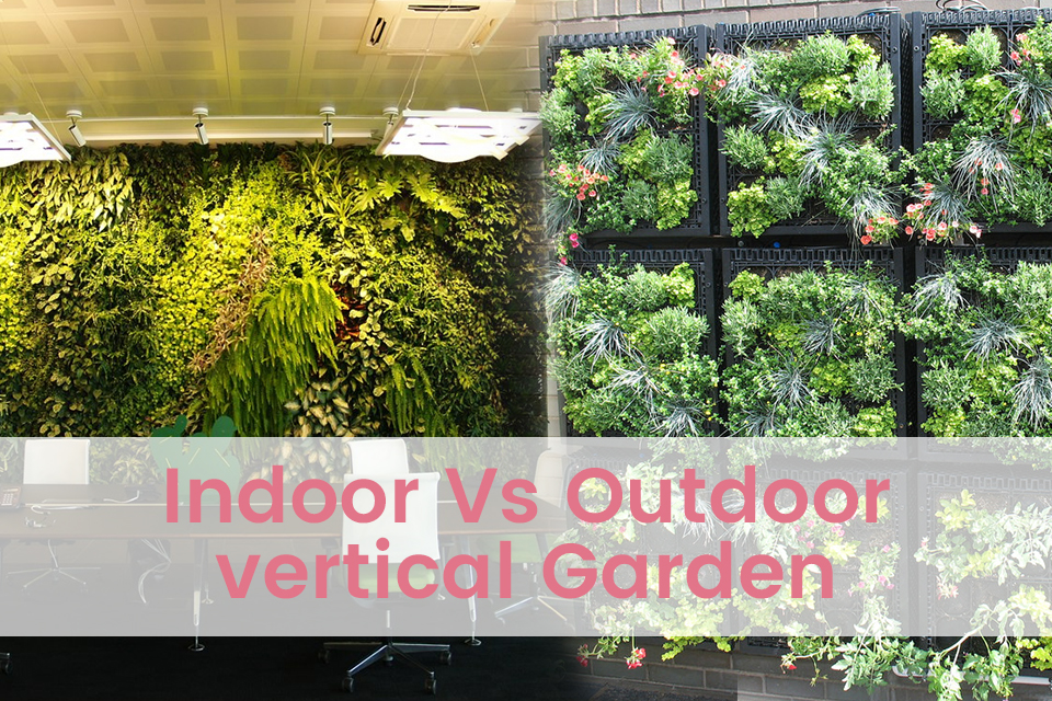 indoor vs outdoor vertical garden