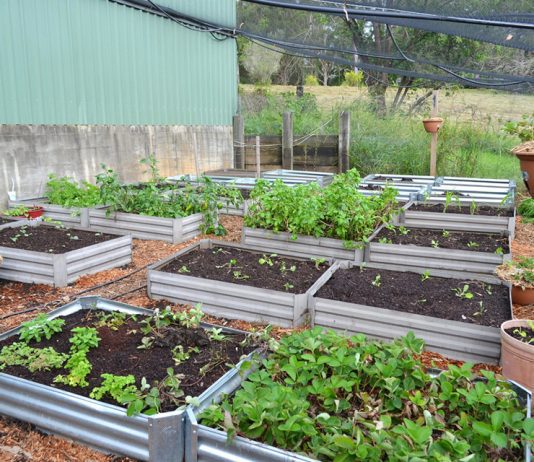 Our Favorite Garden Bed Ideas For Every Gardener At Heart container garden beds