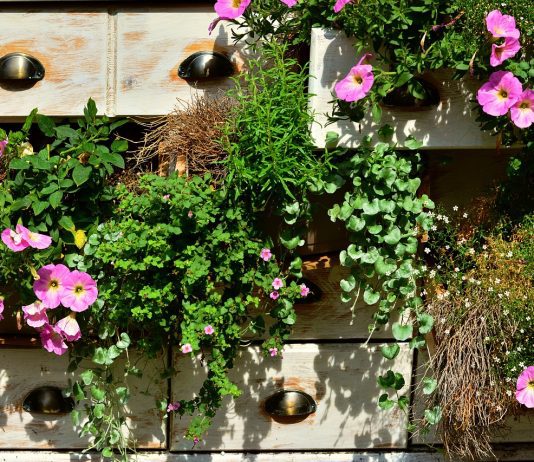 How To Get Your Balcony Garden Started – Tips And Tricks Hanging Plants