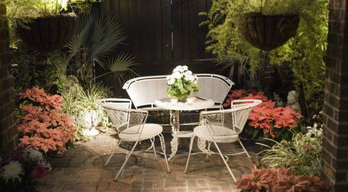 Creative Ideas for a Stunning Patio Garden – Your Vertical Garden Creative Ideas for a Stunning Patio Garden