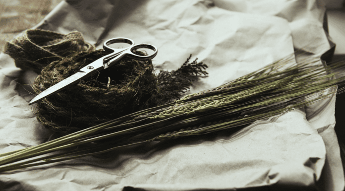 garden scissors and some grains on a white cloth