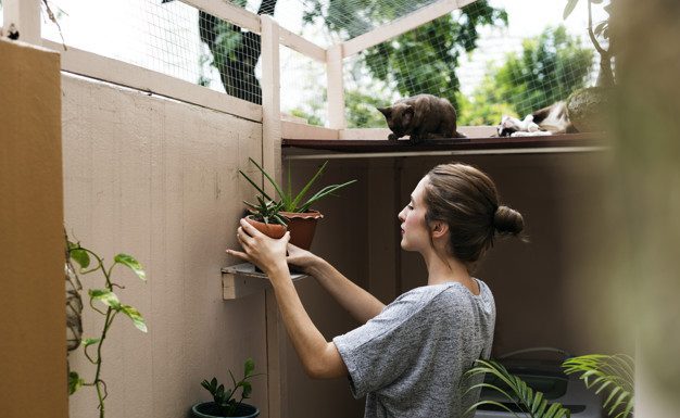 Vertical Garden Kit – Our Top Five Picks Vertical Garden Kit