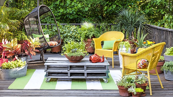 ​Get Started on Your Patio Garden