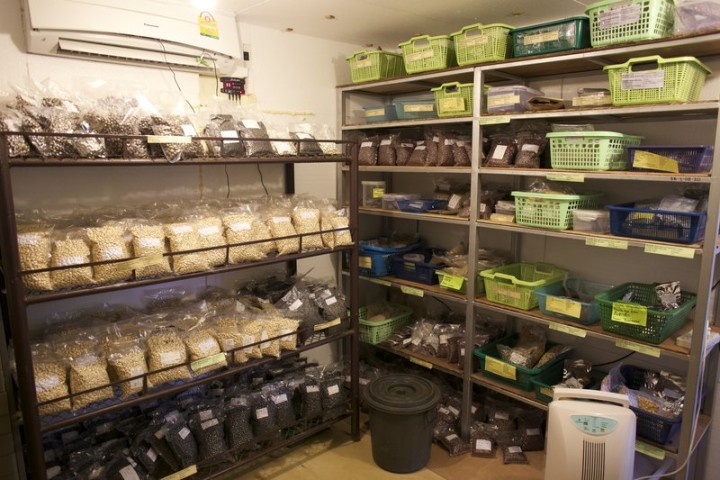 ​Proper Storage Conditions for Seeds