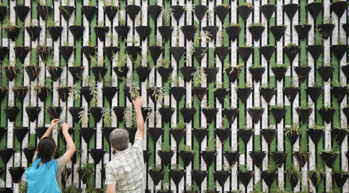 Finding the Best Grow Tower for Vertical Gardening vertical garden