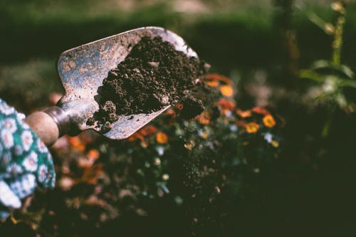 digging some soil