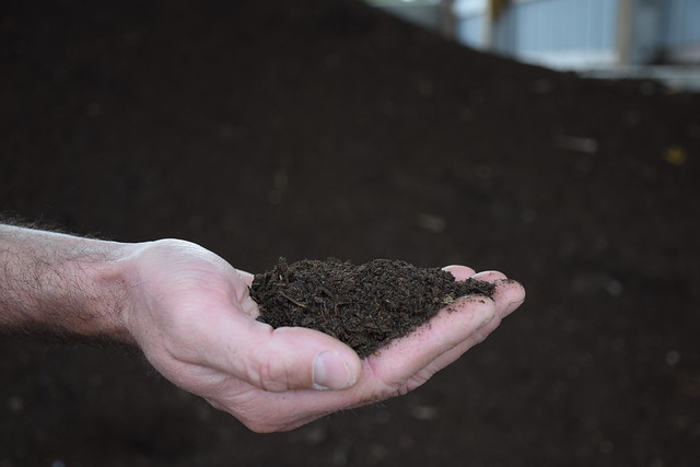 soil compost