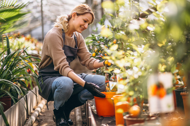 woman gardening inside greenhouse